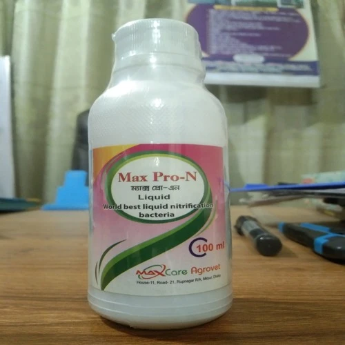 Yucca Max , ইউকা ম্যাক্স