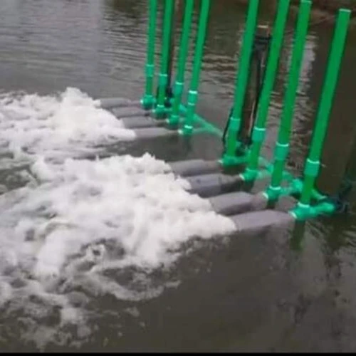 ৮ নজেল ভিয়েতনামী ভেঞ্চুরী এরেটর